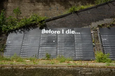 DSC_2752 (Large).JPG